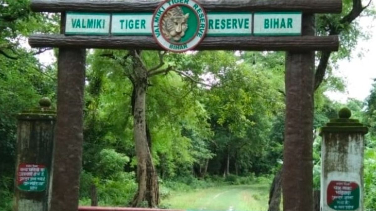 वाल्मीकि टाइगर रिजर्व में नए पर्यटन सत्र की तैयारी, नेचर गाइड प्रशिक्षण और जंगल सफारी के नए रूट से जुड़े पर्यटन विकास की जानकारी।