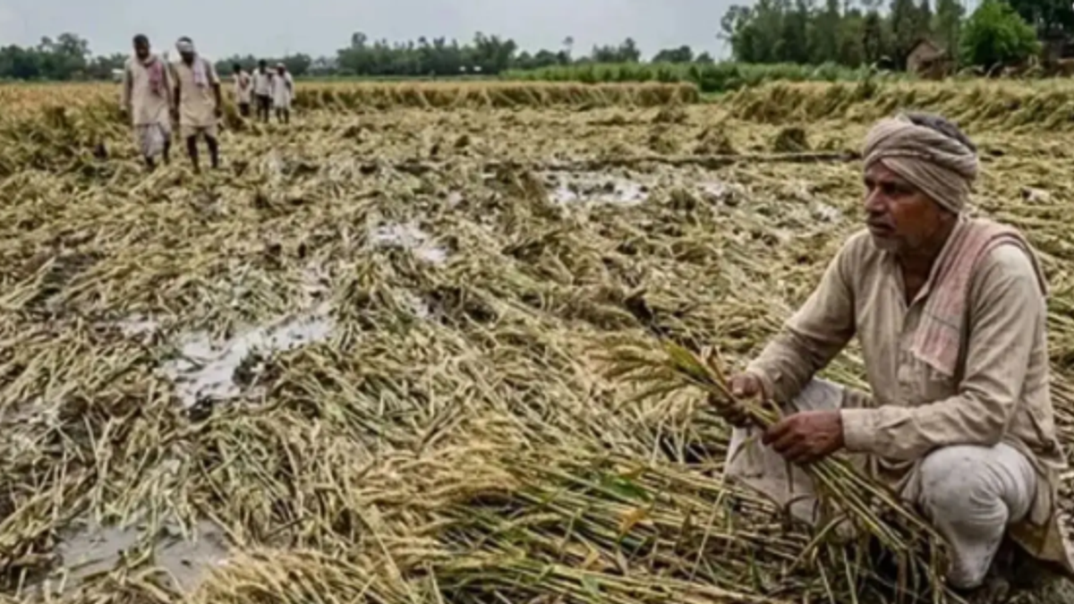 बिहार में बाढ़ प्रभावित किसानों के लिए कृषि इनपुट अनुदान योजना की जानकारी