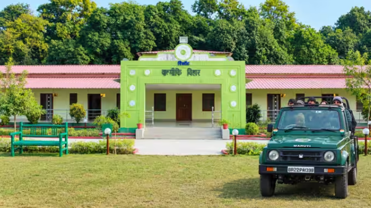 बिहार के वाल्मीकि टाइगर रिजर्व में जंगल सफारी की सांकेतिक तस्वीर