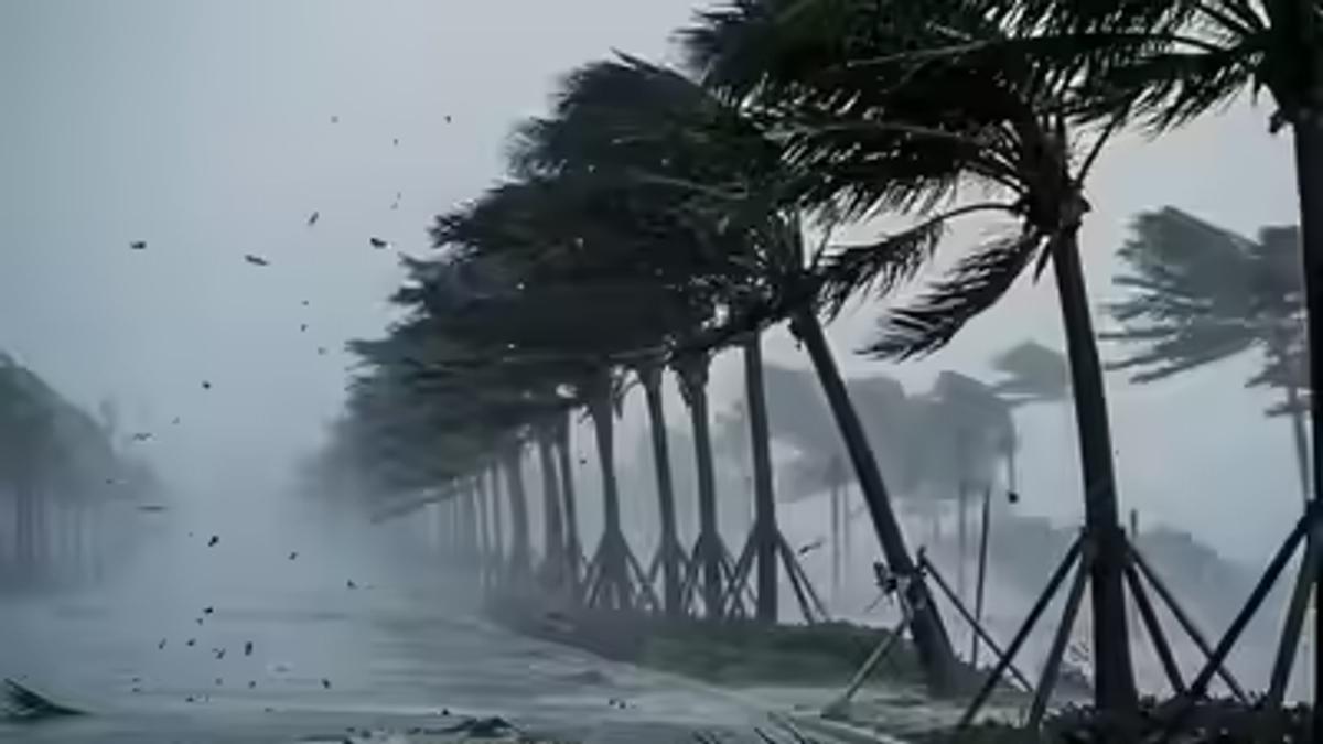 बिहार में बारिश, तेज हवा और वज्रपात को लेकर मौसम विभाग द्वारा जारी येलो अलर्ट का सांकेतिक दृश्य।