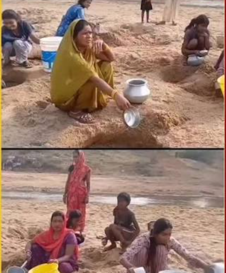 गुमला जिले के बिंदोरा पंचायत में ग्रामीण और मवेशी एक ही गड्ढे से पानी भरते हुए, जहां स्वच्छ पेयजल की सुविधा उपलब्ध नहीं है।