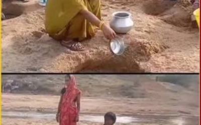 गुमला जिले के बिंदोरा पंचायत में ग्रामीण और मवेशी एक ही गड्ढे से पानी भरते हुए, जहां स्वच्छ पेयजल की सुविधा उपलब्ध नहीं है।