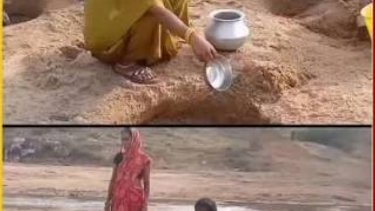 गुमला जिले के बिंदोरा पंचायत में ग्रामीण और मवेशी एक ही गड्ढे से पानी भरते हुए, जहां स्वच्छ पेयजल की सुविधा उपलब्ध नहीं है।