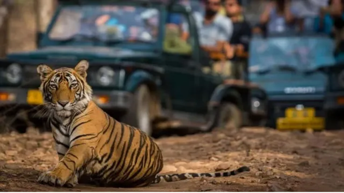 हल्द्वानी के गौलापार में प्रस्तावित जू सफारी परियोजना क्षेत्र का सांकेतिक दृश्य