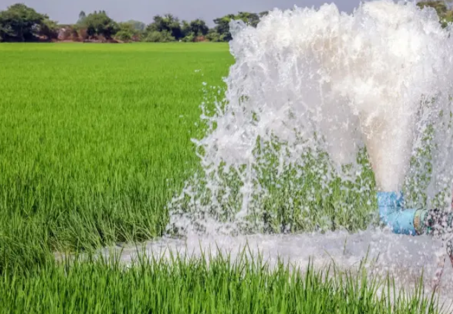 ग्राम पंचायत में जल स्रोतों का सर्वे करते अधिकारी और ग्रामीण, Water Budget योजना के तहत पानी की उपलब्धता का आकलन।