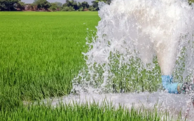 ग्राम पंचायत में जल स्रोतों का सर्वे करते अधिकारी और ग्रामीण, Water Budget योजना के तहत पानी की उपलब्धता का आकलन।