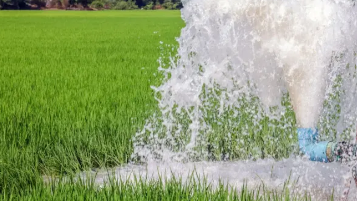 ग्राम पंचायत में जल स्रोतों का सर्वे करते अधिकारी और ग्रामीण, Water Budget योजना के तहत पानी की उपलब्धता का आकलन।