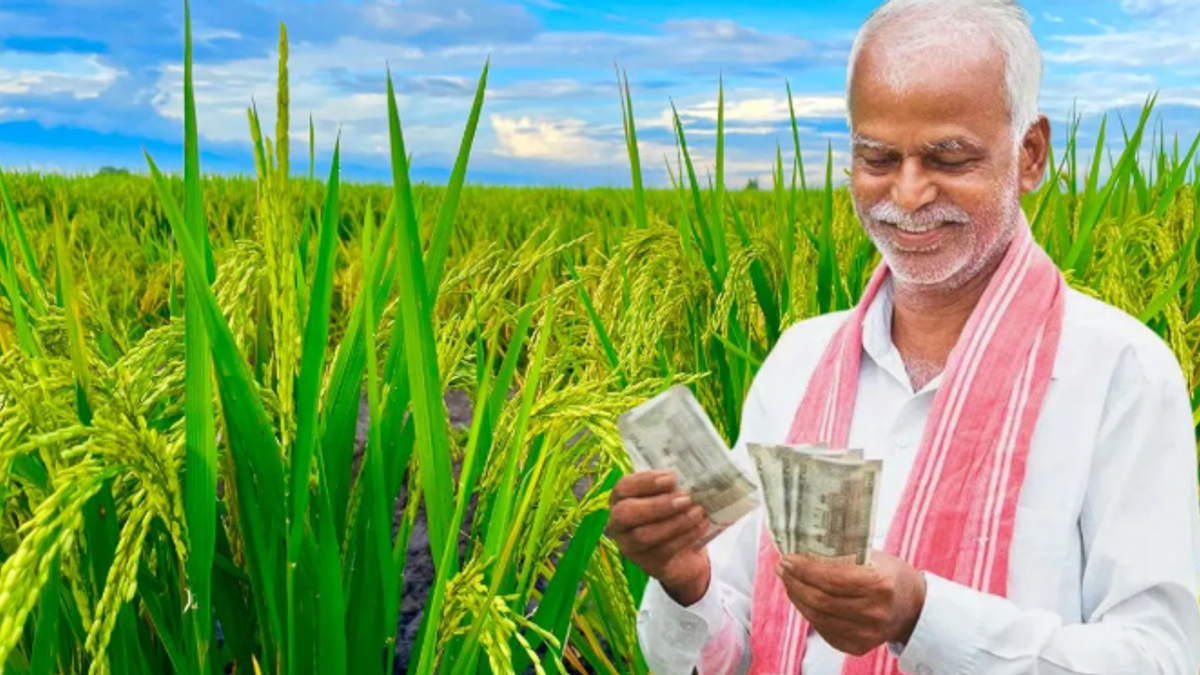 PM Kisan Yojana की 24वीं किस्त का इंतजार करते किसान, 2000 रुपये की अगली किस्त और फार्मर आईडी को लेकर चर्चा