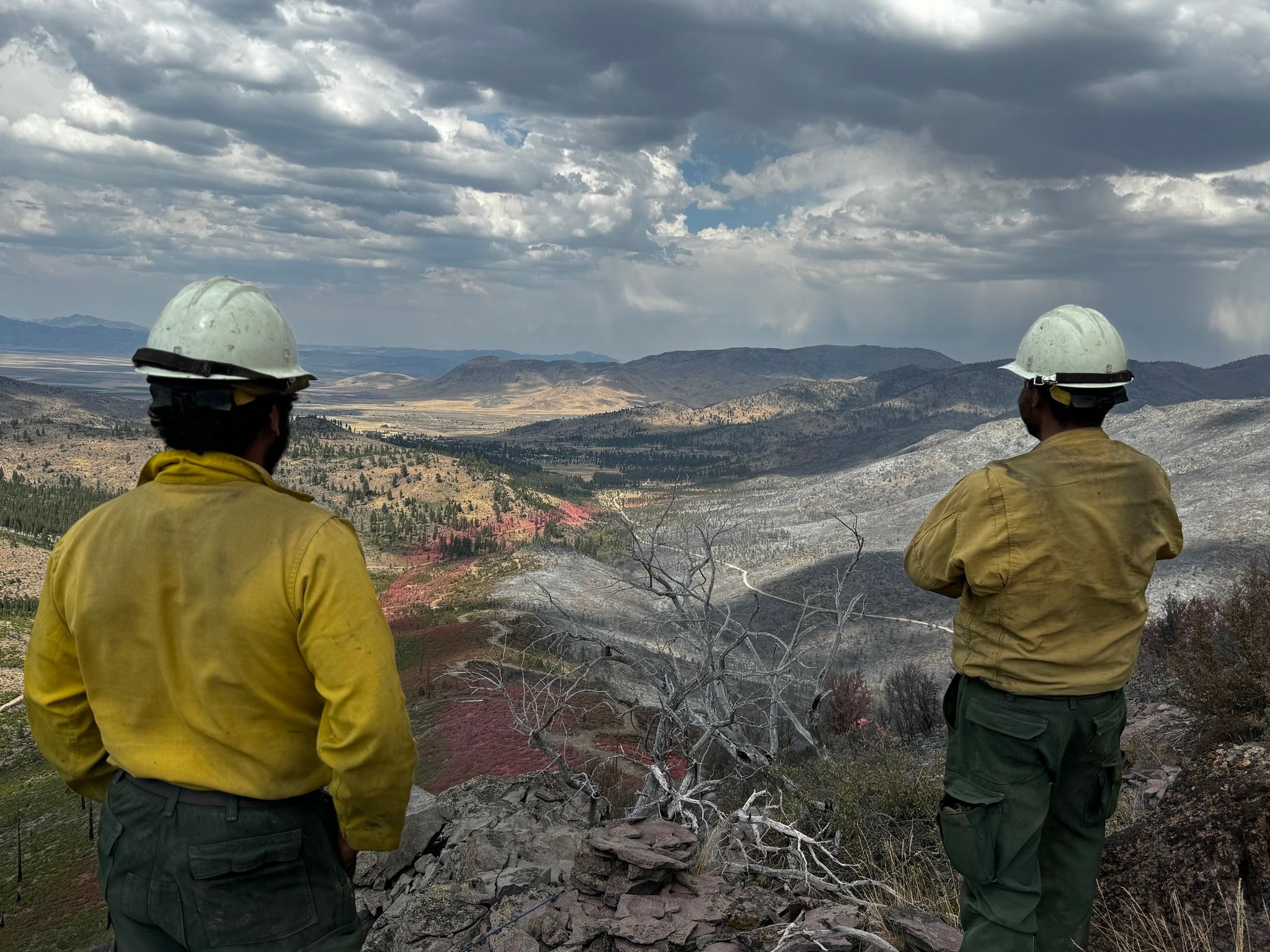 Tahoe National Forest fire crew members survey the aftermath of Bear Fire. Photo courtesy of Tahoe National Forest.