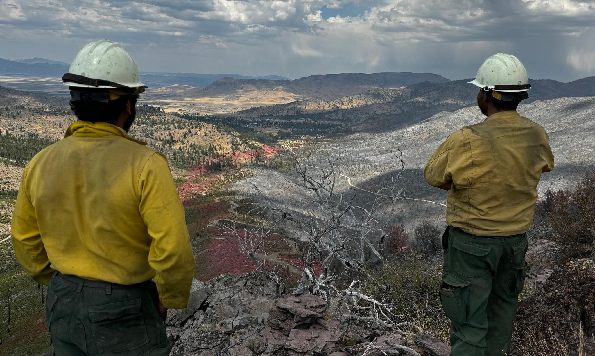 Tahoe National Forest fire crew members survey the aftermath of Bear Fire. Photo courtesy of Tahoe National Forest.