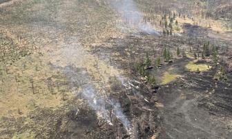 Elephant and Twain Fires Near Full Containment