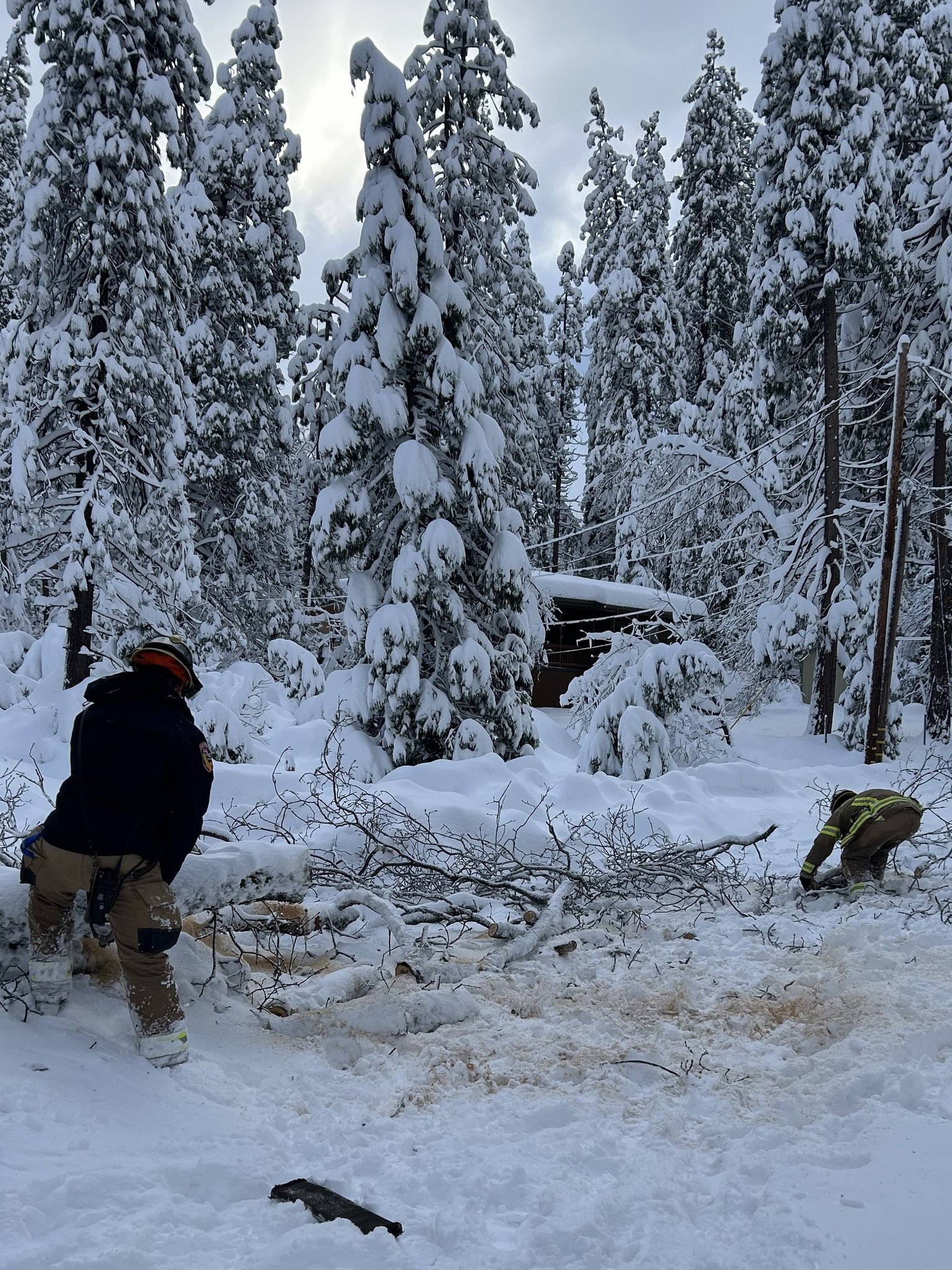 Several falling trees hit power lines, causing widespread outages. Credit: California Governor’s Office of Emergency Services.