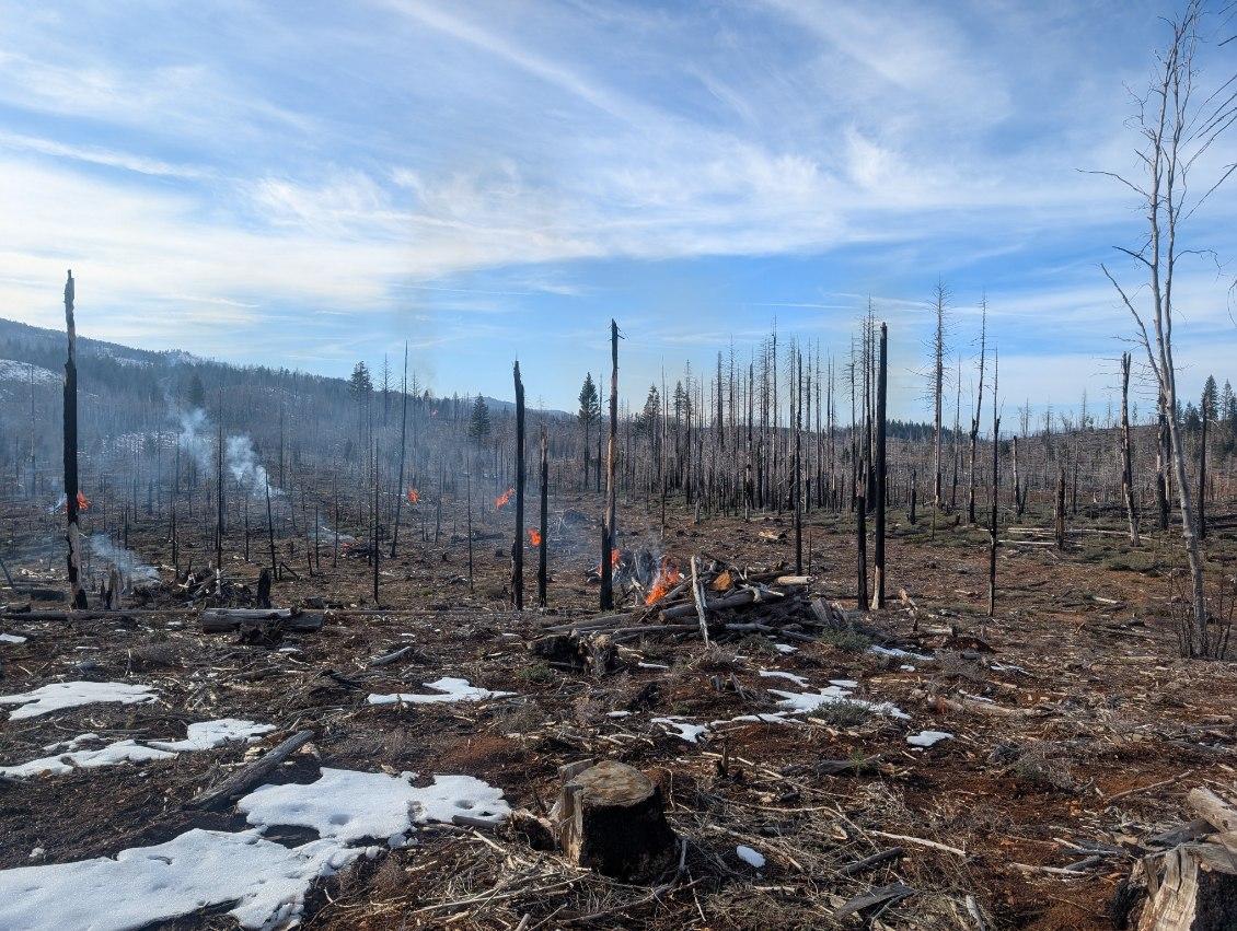An image of pile burns conducted last week shared by the Plumas National Forest.