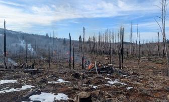 Plumas National Forest Plans to Burn More Piles Near Graeagle