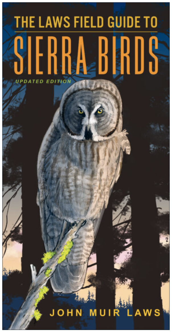 The cover of The Laws Field Guide to Sierra Birds Updated Edition