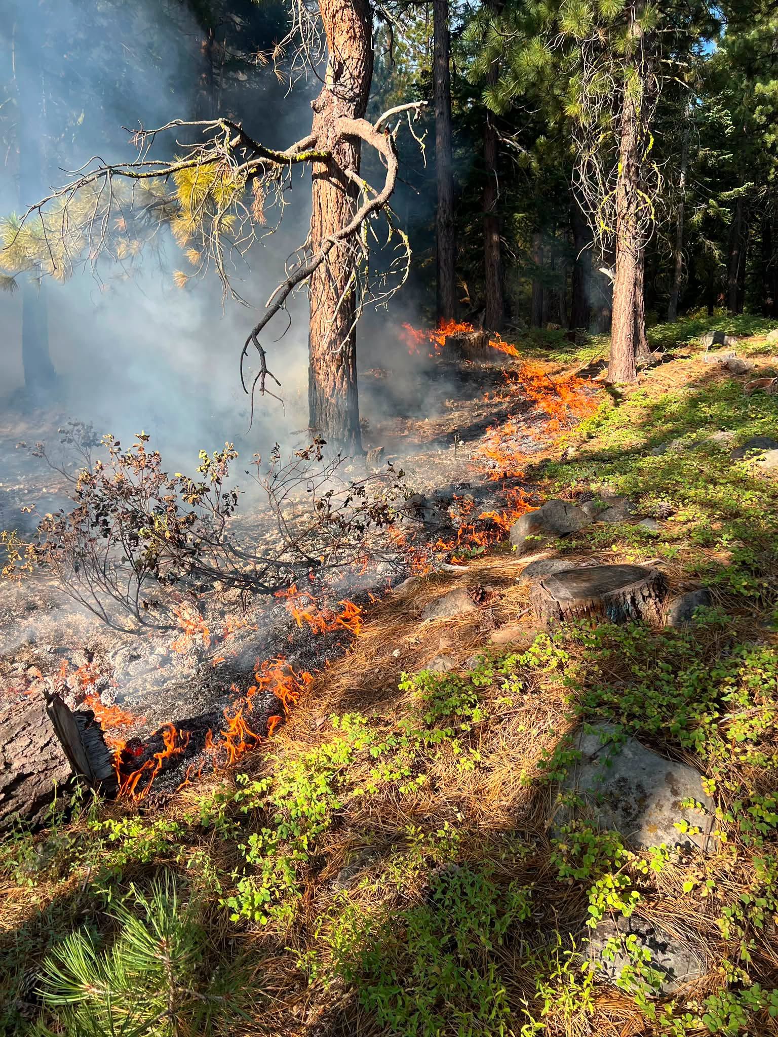The fire advances slowly up an incline near Crystal Peak. Photo: Sierra County Sheriff’s Office.