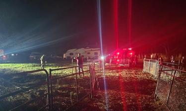 215 Animals Seized for Cruelty from Grass Valley Property