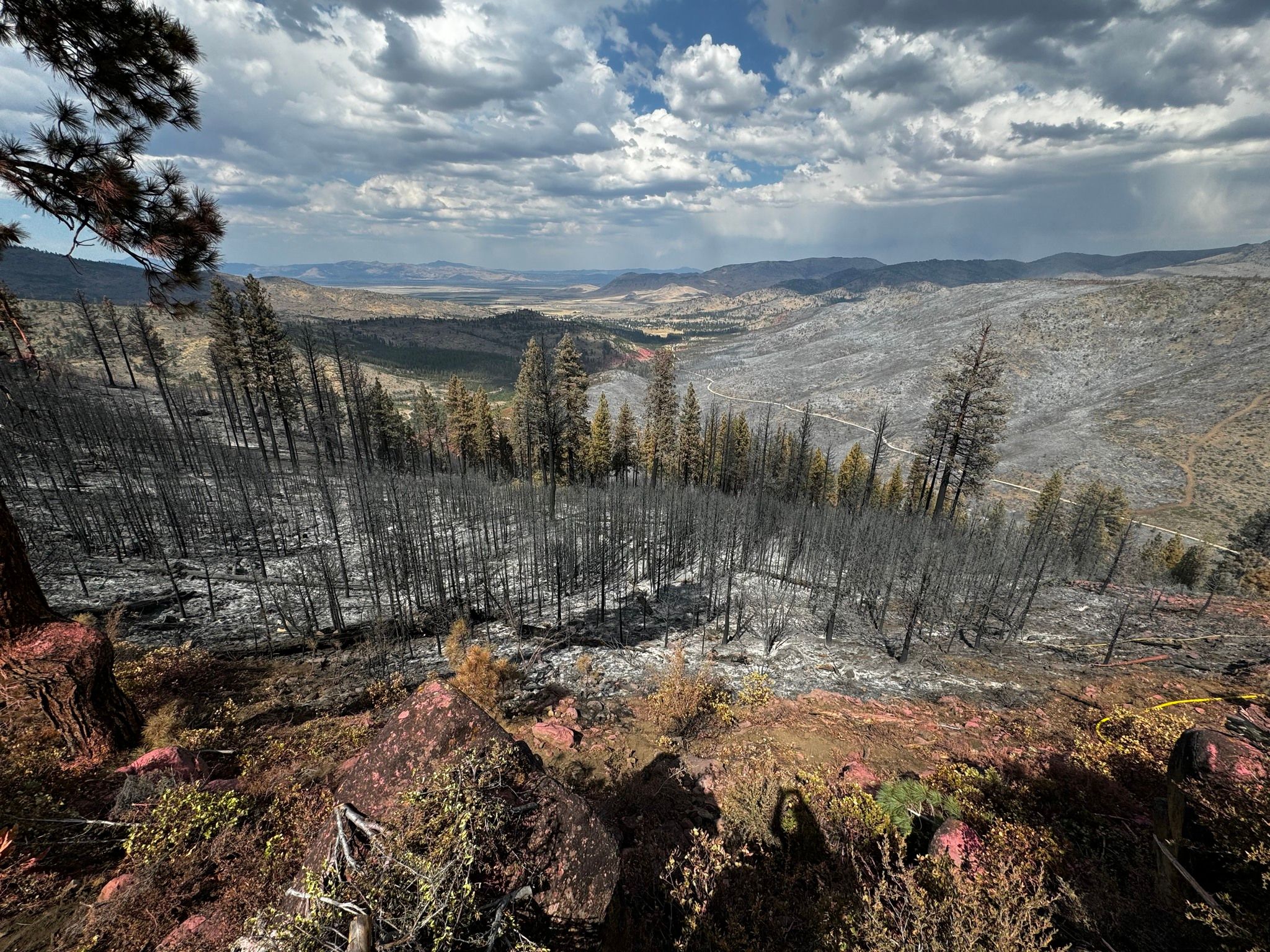 Sierra City Firewise Forum Highlights Insurance Crisis