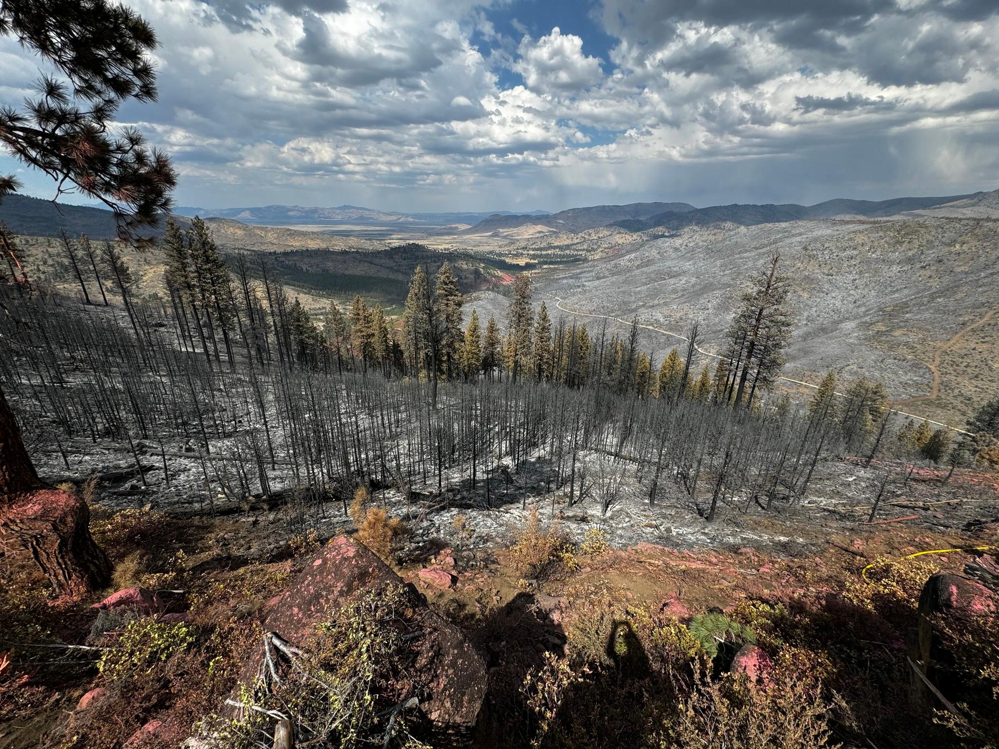 Damage caused by the Bear Fire near Sierra Brooks. Photo provided by Tahoe National Forest.