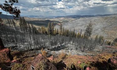 Sierra City Firewise Forum Highlights Insurance Crisis