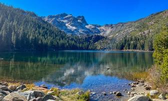 Reducing Fuels on Steep Slopes