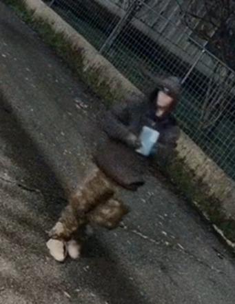 A photograph of the person of interest shared by the Sierra County Sheriff’s Office.