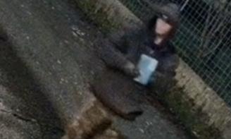 After Car Break-Ins, Help Needed to ID Person of Interest