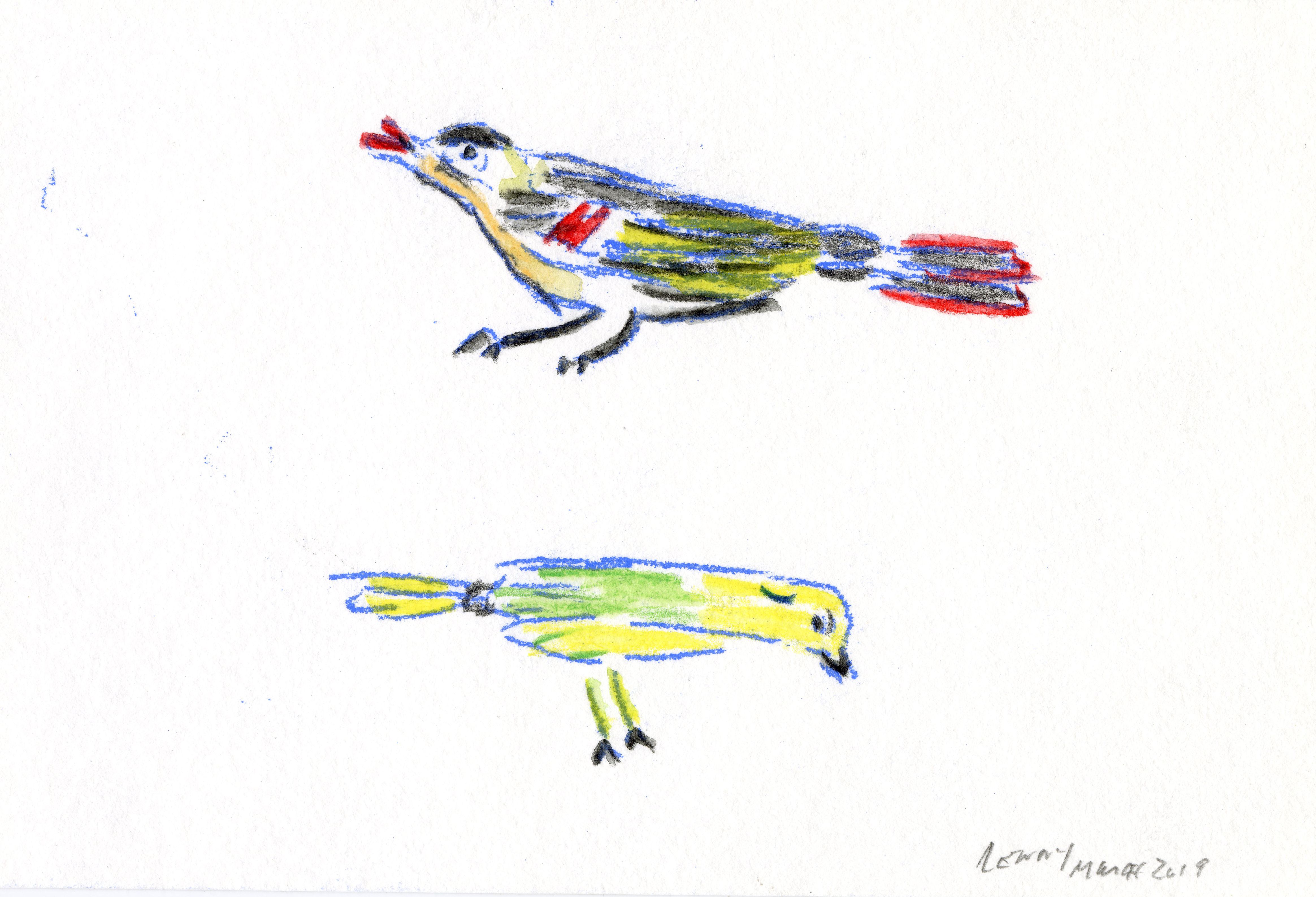 Robins, by Lenny Ackerman.