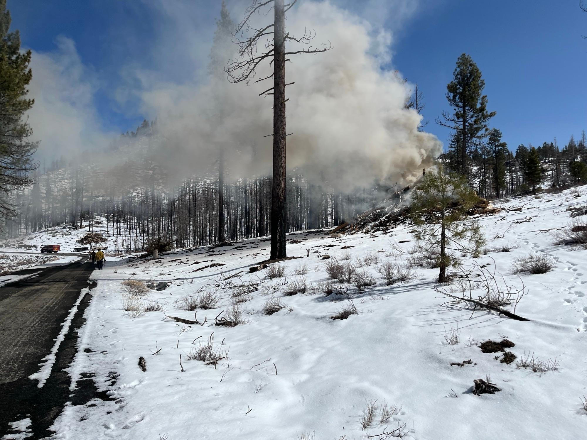 Pile burning as part of the Bootsole Project. Photo courtesy of Plumas National Forest.