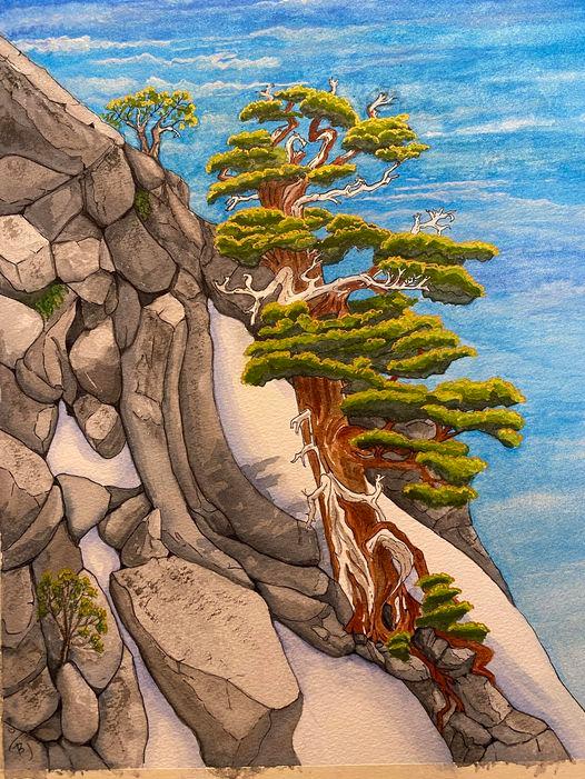 Juniper in the High Sierra. Watercolor by BJ Jordon.