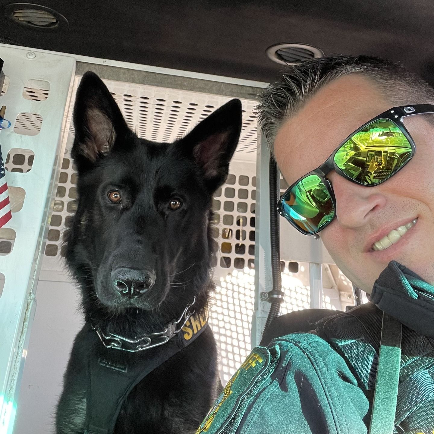 El Dorado County Sheriff’s K9 Apollo Dies at Age Six
