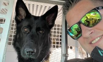 El Dorado County Sheriff’s K9 Apollo Dies at Age Six