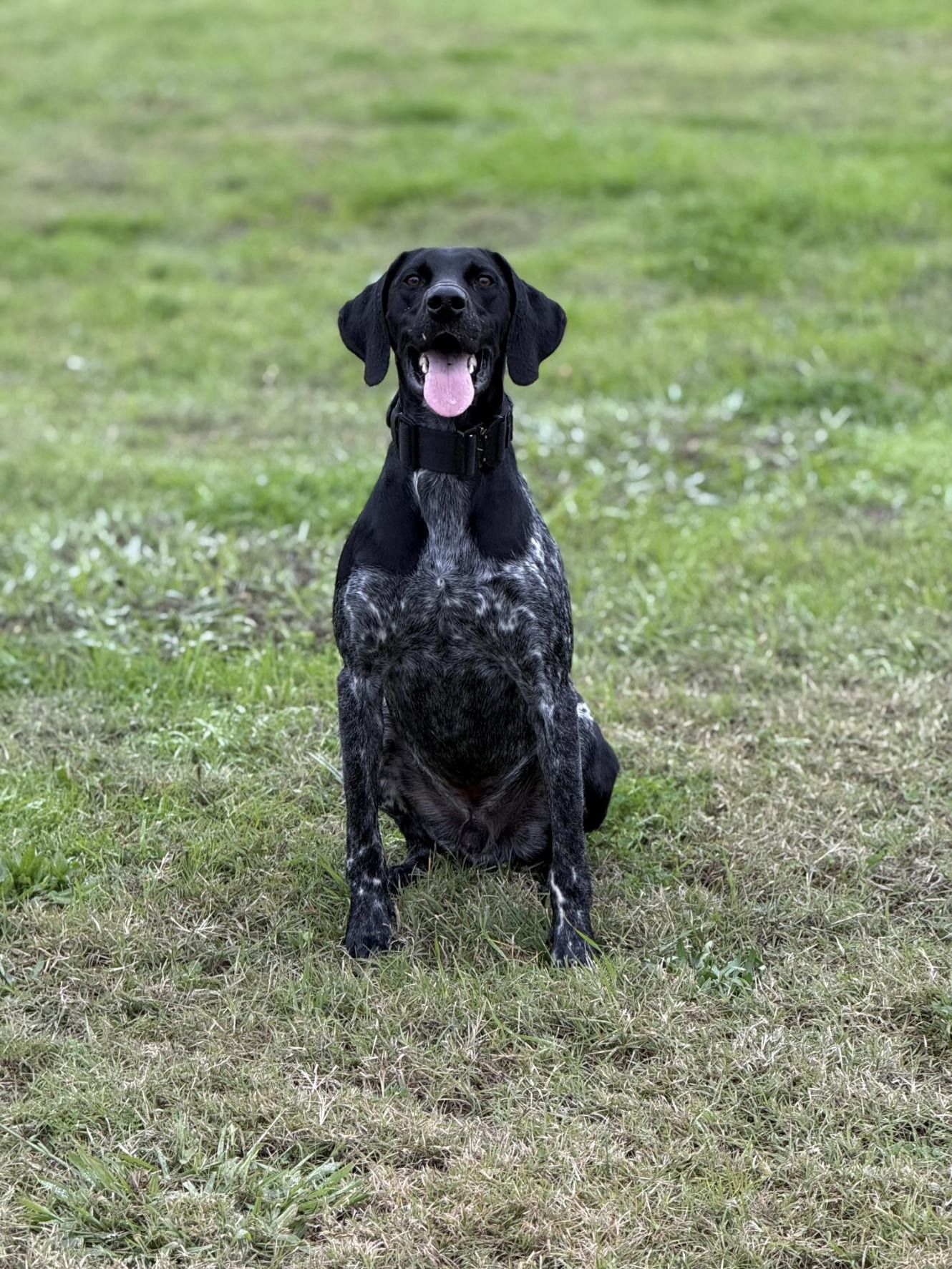 K-9 Alert Leads to Four-Pound Methamphetamine Seizure