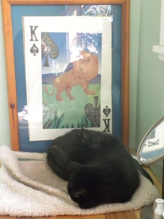 Southwest Sierra #119 – Cats