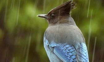 Down in the Garden! — Part 1