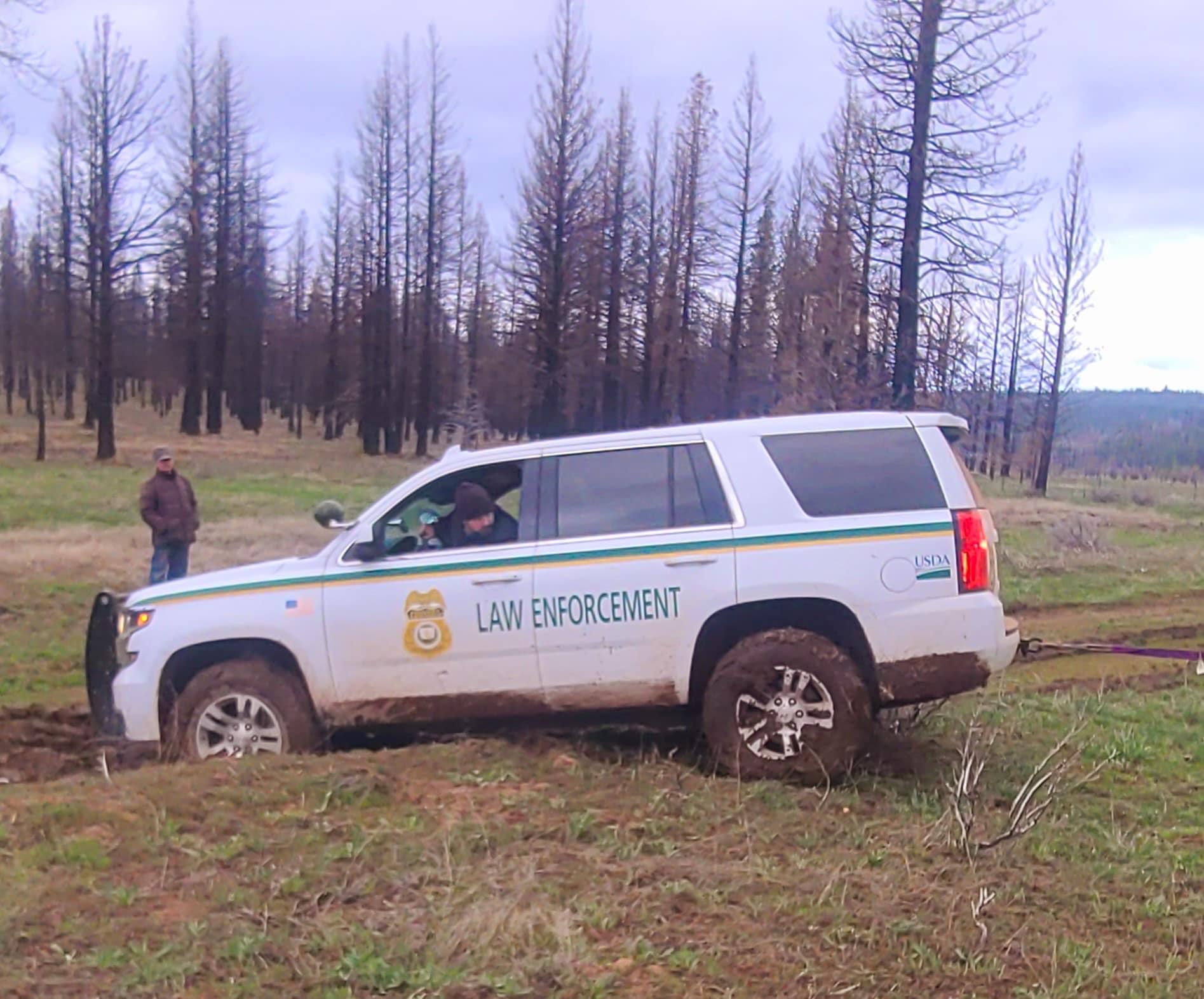 The Forest Service vehicle is winched from mud