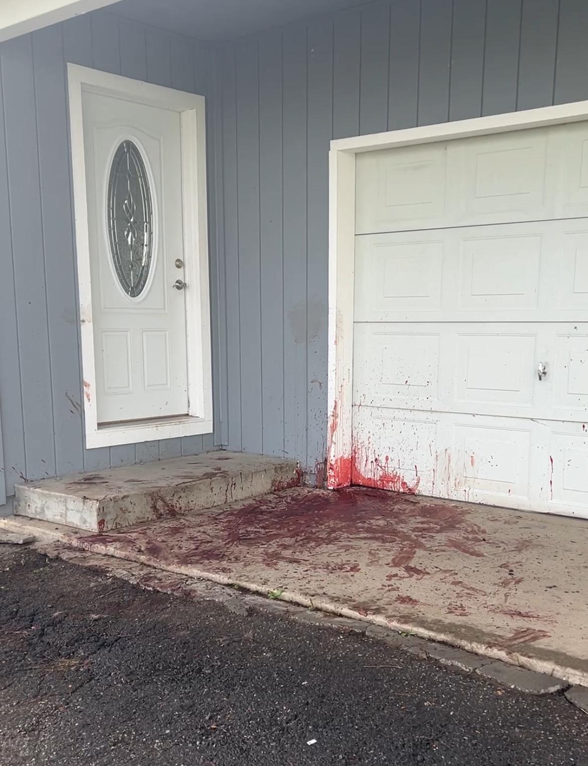 The aftermath of a wolf killing an elk on a Sierra Brooks doorstep, displayed by Senator Shannon Grove during committee proceedings. Credit: Sierra County Sheriff’s Office.