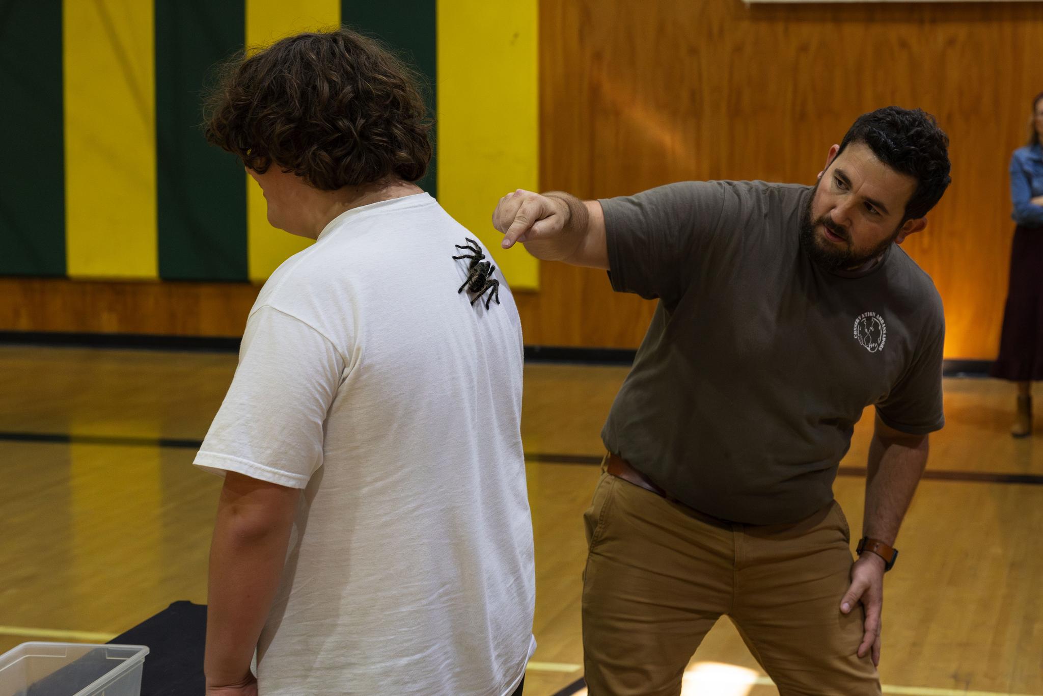 A student bravely displays Rosie the rose-haired tarantula on his back while Kerschner counts its legs.