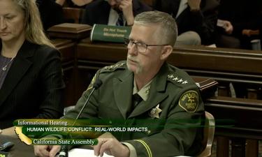 Assembly Committee Probes Predator Conflicts in Rural California