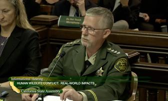 Assembly Committee Probes Predator Conflicts in Rural California