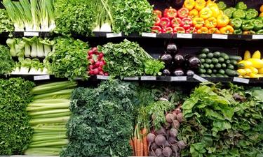 SNAP Suspension Affects 335 Sierra County Residents