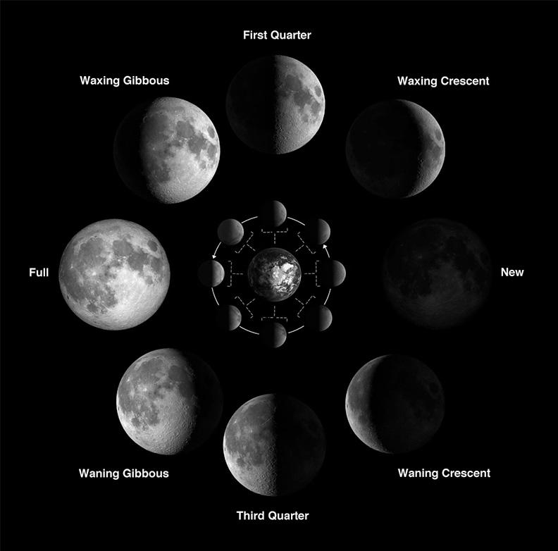 In the diagram, above, the Sun is assumed to be far off to the right, the inner circle shows the positions of the Moon, seen from above Earth’s North Pole, corresponding to the phases of the seen from Earth as shown on the outer circle. Image: NASA