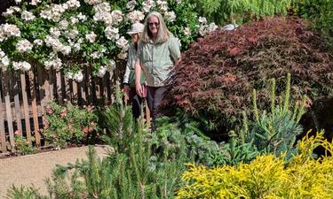 Conifers Shine in Annual Soroptomist Garden Tour