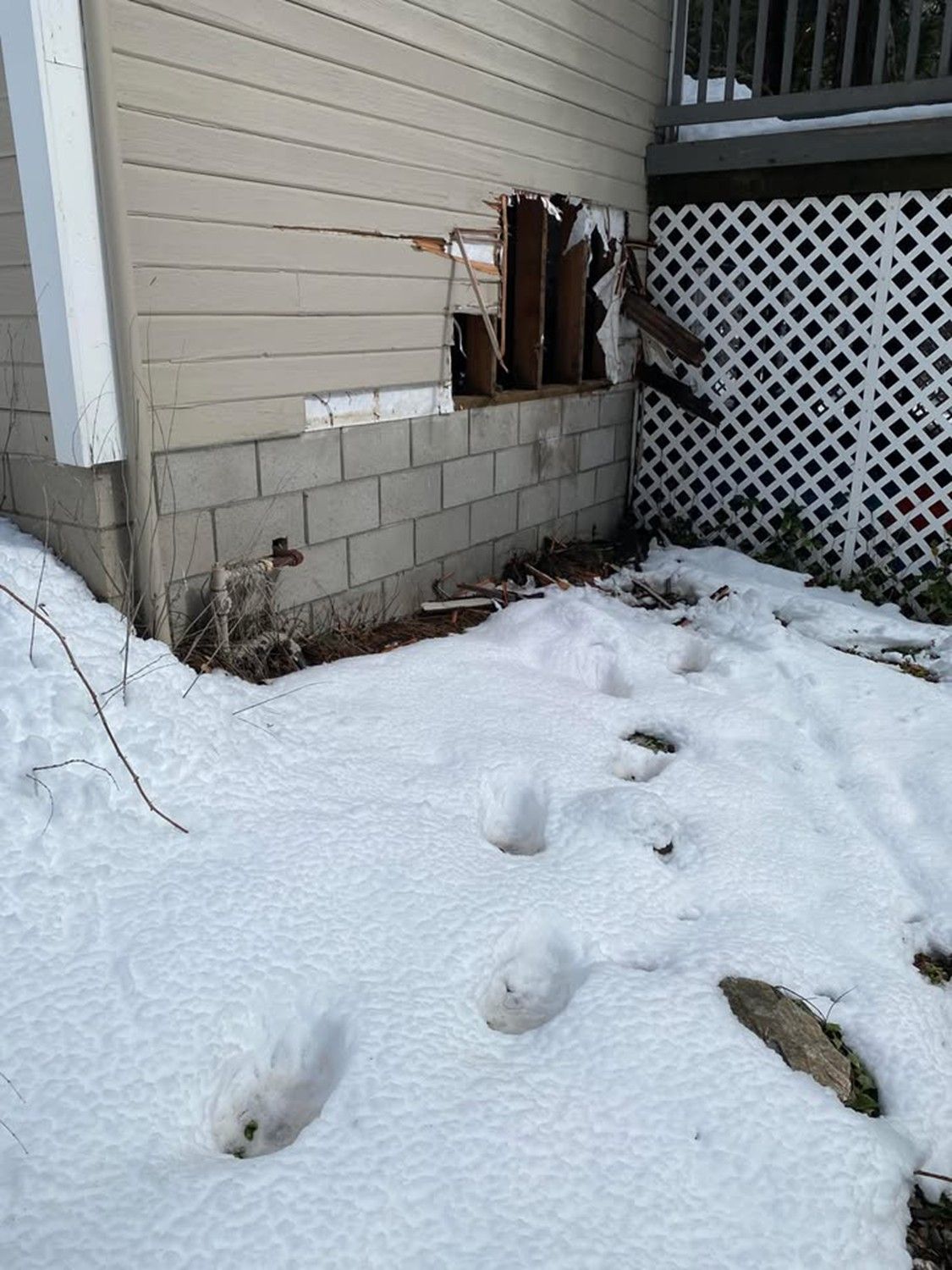 An image of the Sierra City break-in was shared by the Sierra County Sheriff’s Office.