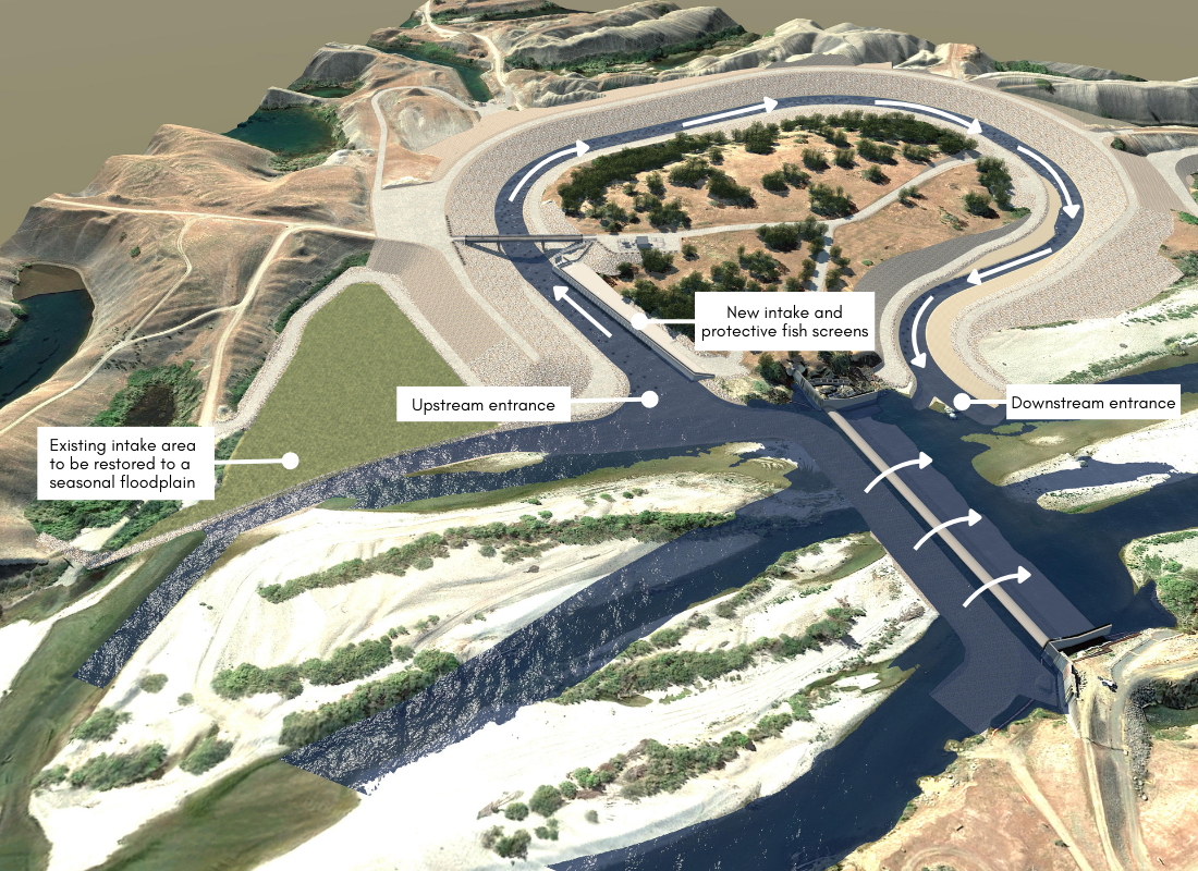 An illustrated diagram of the planned Daguerre Point Dam fishway. Credit: Yuba Water Agency.