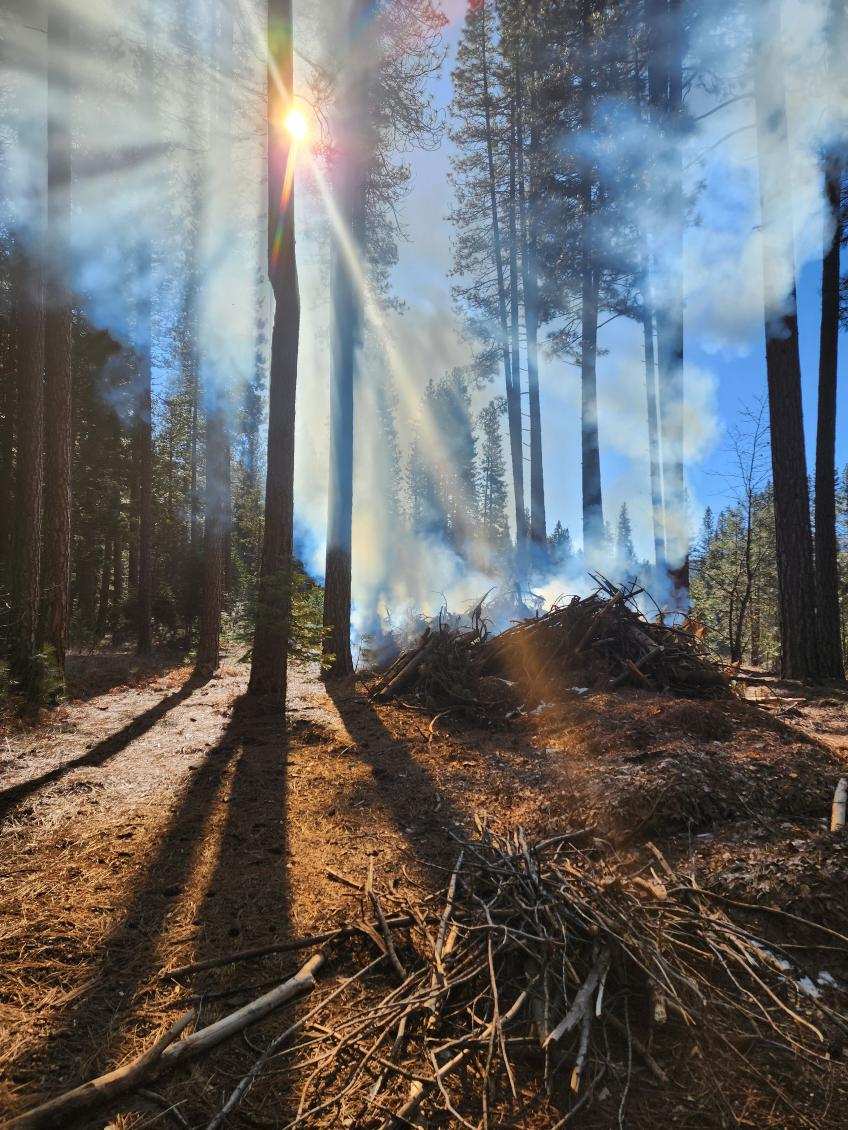 A debris pile burning in the Plumas National Forest. Photo courtesy of Plumas National Forest.