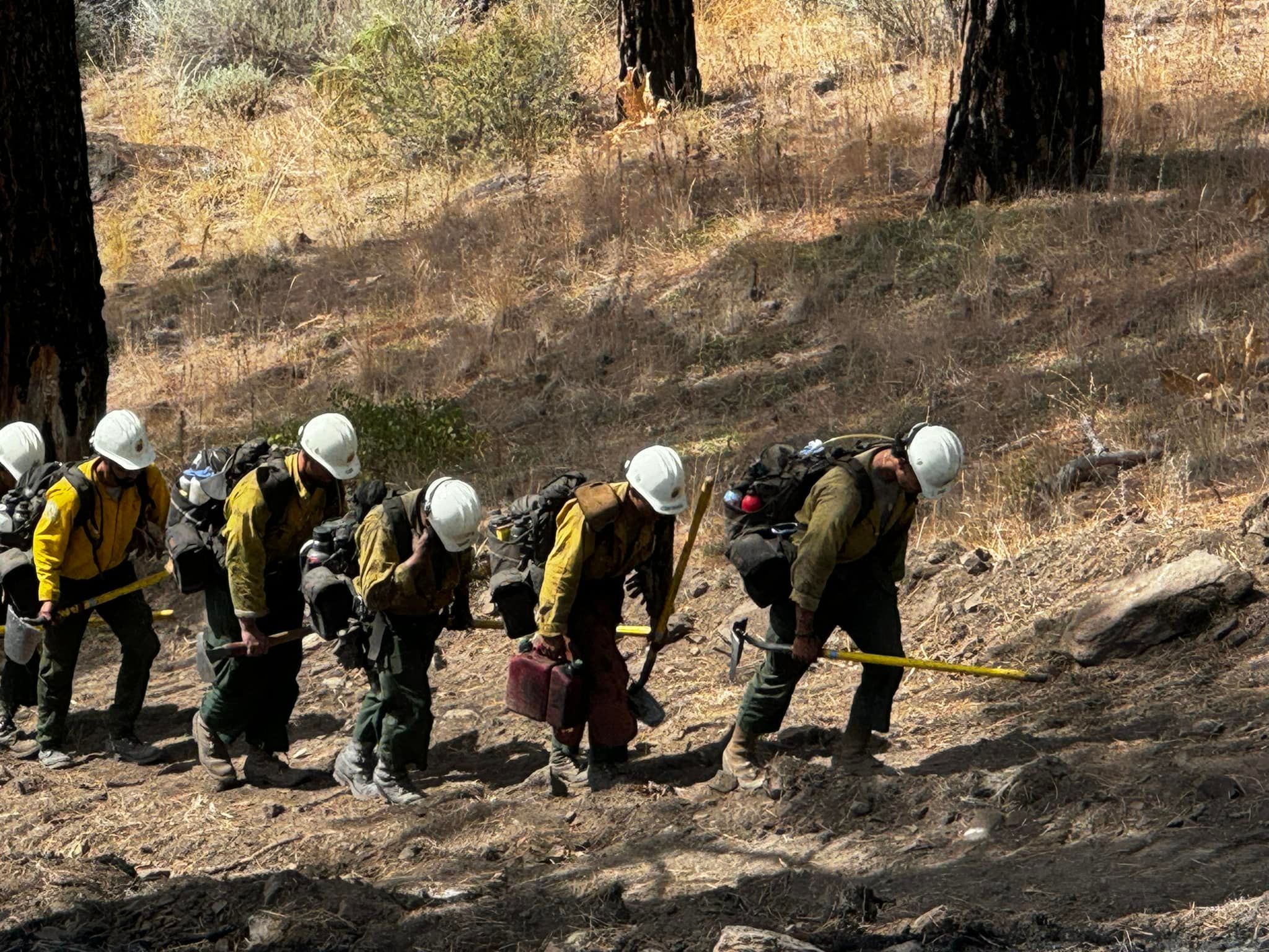 Firefighters work on a Bear Fire firebreak. Photo by the Tahoe National Forest.