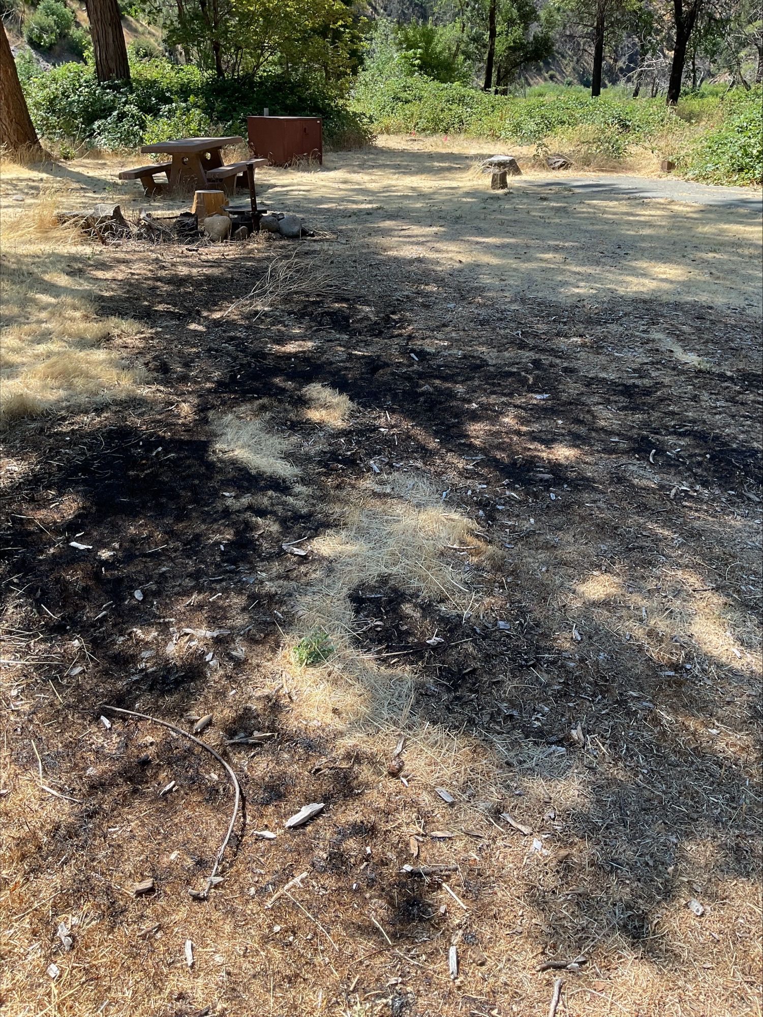 An escaped campfire at Gansner Bar. Photo by Plumas National Forest.