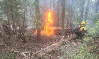 Plumas Wildfires Contained After Early September Storms