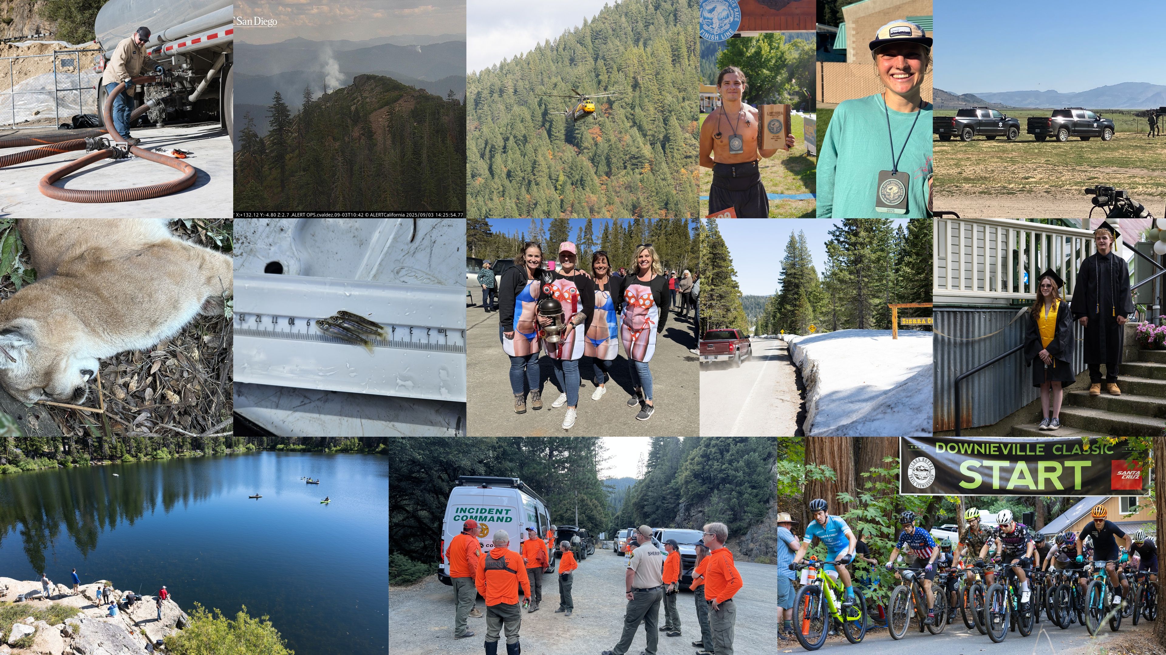 2025 – A Year in Review